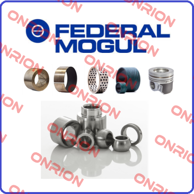 813150010  Federal Mogul