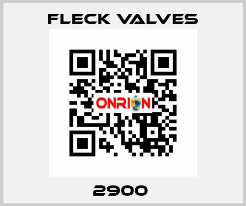 2900  Fleck Valves