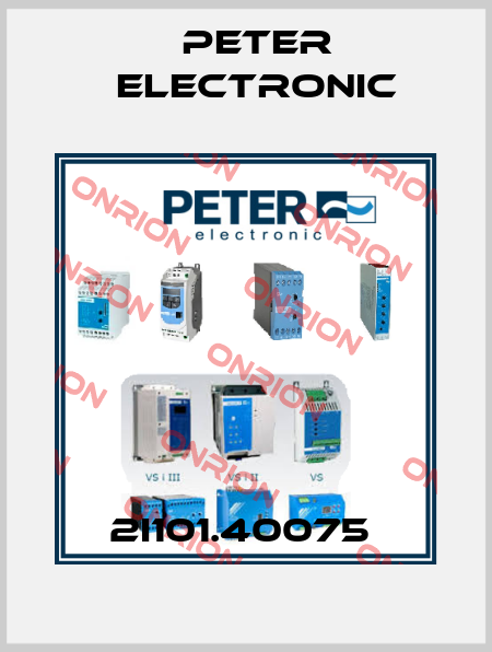 2I101.40075  Peter Electronic