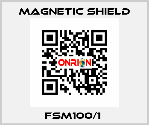 FSM100/1  Magnetic Shield