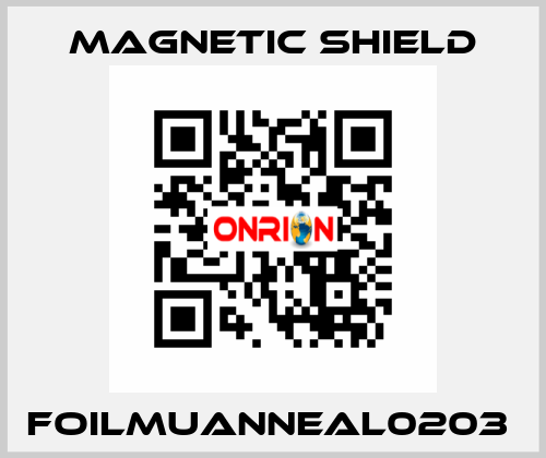 FOILMUANNEAL0203  Magnetic Shield