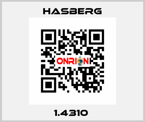 1.4310  Hasberg