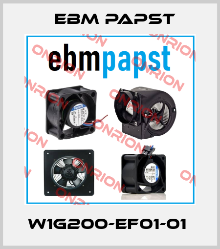 W1G200-EF01-01  EBM Papst