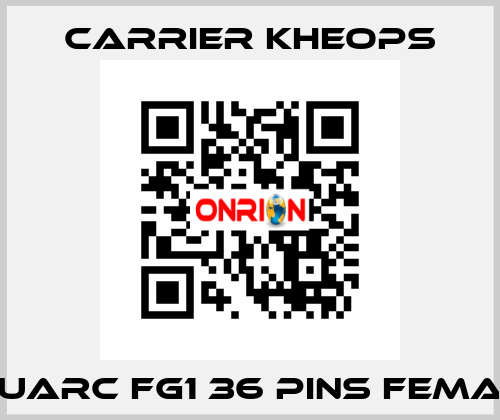 Fluarc FG1 36 Pins Female Carrier Kheops