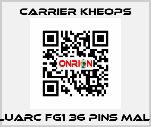 Fluarc FG1 36 Pins Male  Carrier Kheops