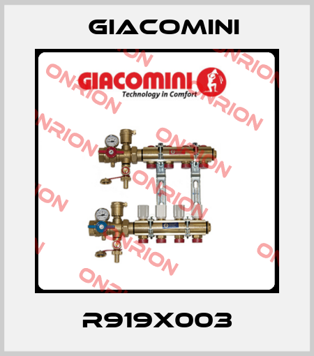 R919X003 Giacomini