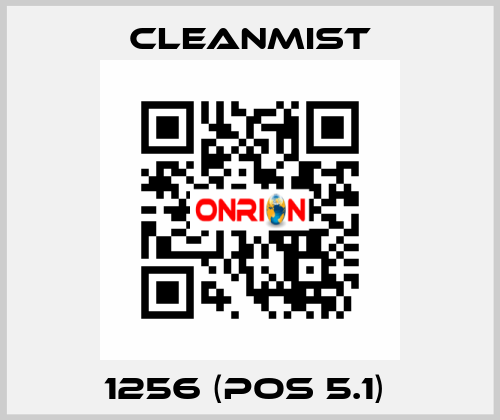 1256 (pos 5.1)  CleanMist