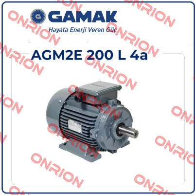 AGM2E 200 L 4 Gamak