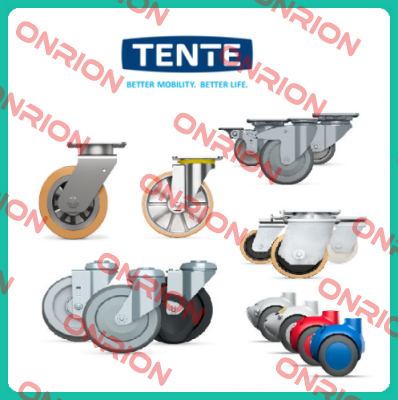 9950FTP150P65 (Teilenummer: 00803669-GS) Tente