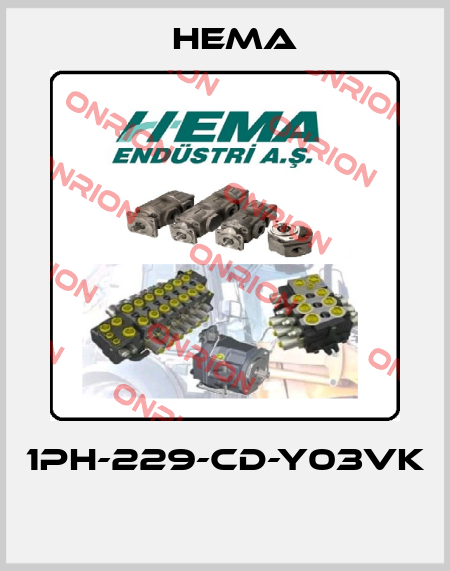 1PH-229-CD-Y03VK  Hema