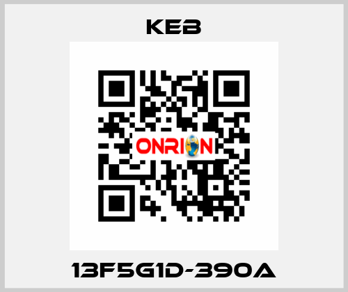 13F5G1D-390A KEB