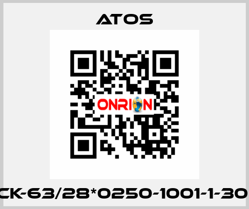 CK-63/28*0250-1001-1-30  Atos