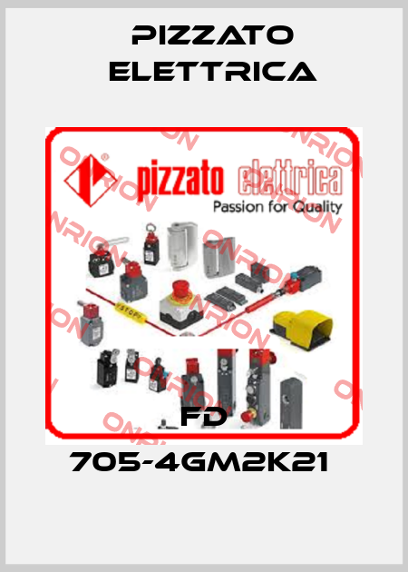 FD 705-4GM2K21  Pizzato Elettrica