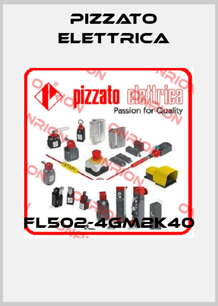 FL502-4GM2K40  Pizzato Elettrica