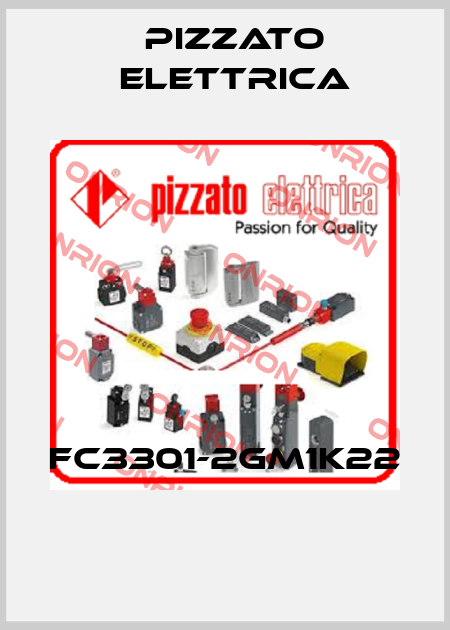 FC3301-2GM1K22  Pizzato Elettrica