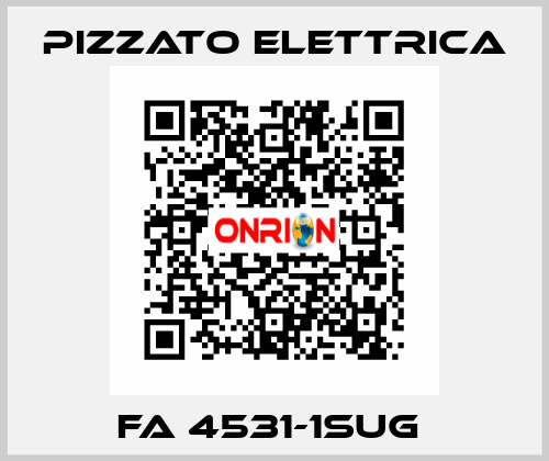 FA 4531-1SUG  Pizzato Elettrica