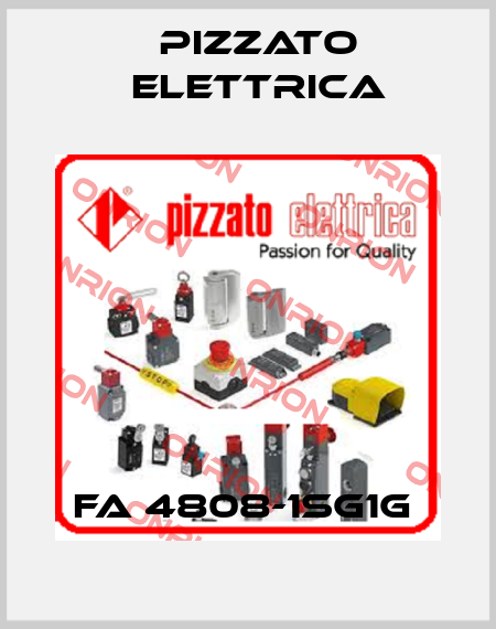 FA 4808-1SG1G  Pizzato Elettrica