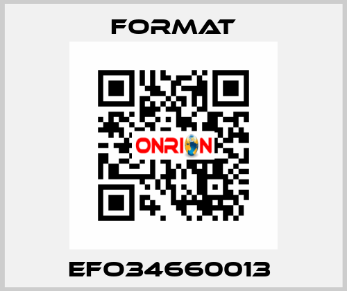 EFO34660013  Format