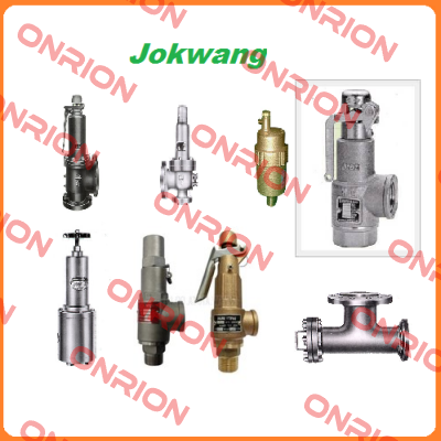 FF100-C-3/4"D1"-A11-212-CN2 9,1BARG  Jokwang