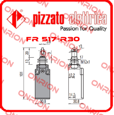 FR 517-R30 Pizzato Elettrica