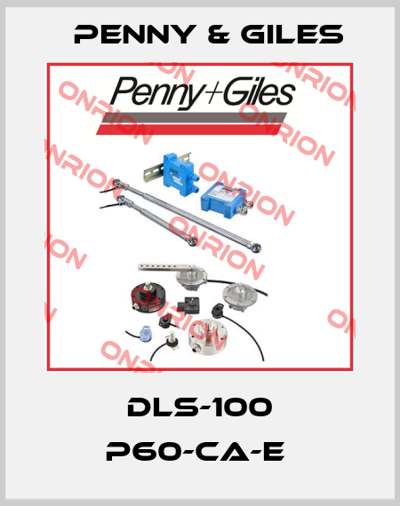 DLS-100 P60-CA-E  Penny & Giles