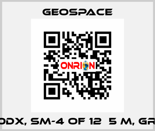 GS-20DX, SM-4 OF 12Х5 M, GROUP  GeoSpace