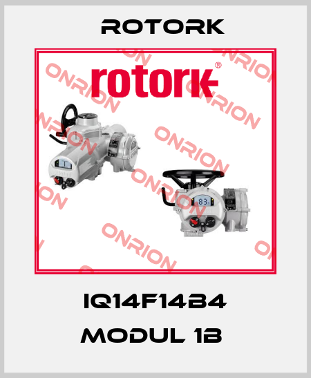 IQ14F14B4 MODUL 1B  Rotork