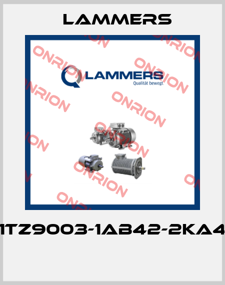 1TZ9003-1AB42-2KA4  Lammers