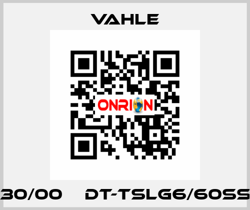 0183530/00    DT-TSLG6/60SS-1000  Vahle