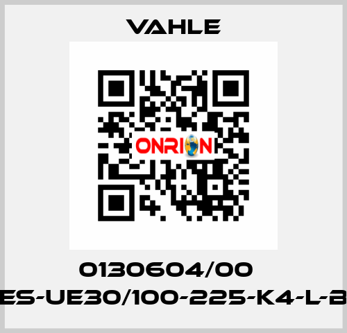 0130604/00    ES-UE30/100-225-K4-L-B  Vahle