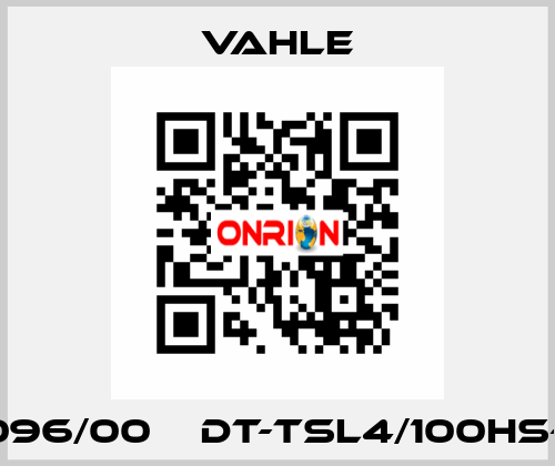 0195096/00    DT-TSL4/100HS-1000  Vahle