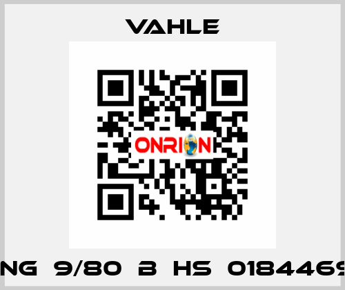 DSWNG  9/80  B  HS  0184469/00  Vahle