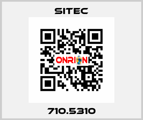 710.5310 SITEC