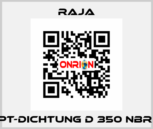 PT-Dichtung D 350 NBR  Raja