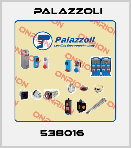 538016   Palazzoli