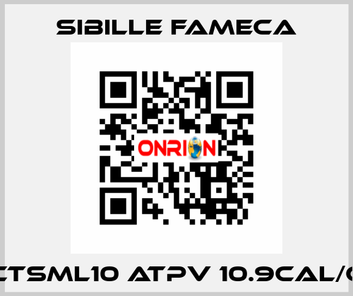 ARCTSML10 ATPV 10.9CAL/CM2 Sibille Fameca