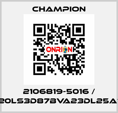 2106819-5016 / G20LS3D87BVA23DL25A10 Champion