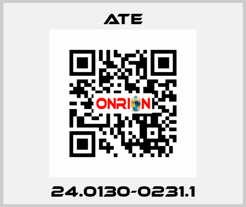 24.0130-0231.1 Ate