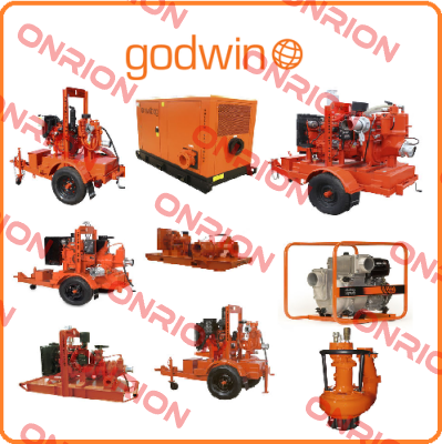 2305682016 Godwin Pumps