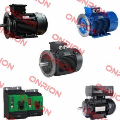 Type: 100L2-4 Hoyer Motors