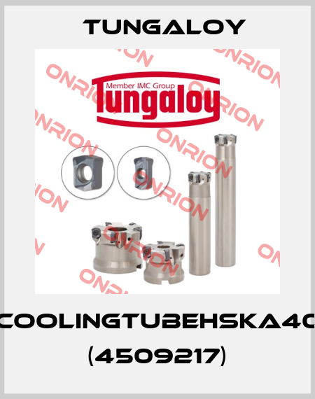 COOLINGTUBEHSKA40 (4509217) Tungaloy