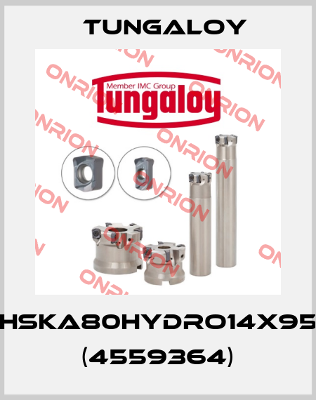 HSKA80HYDRO14X95 (4559364) Tungaloy