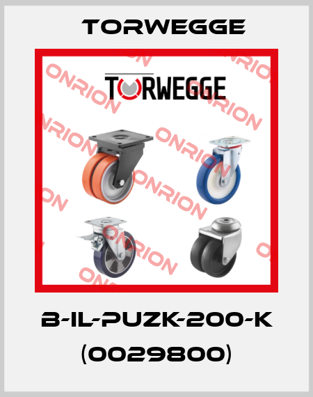B-IL-PUZK-200-K (0029800) Torwegge