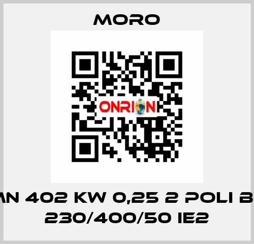 MN 402 KW 0,25 2 POLI B5 230/400/50 IE2 Moro