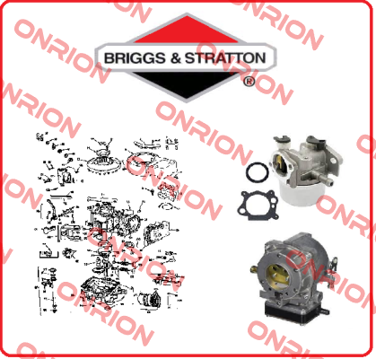 795027-BRI Briggs-Stratton