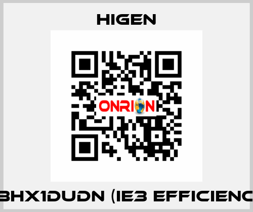 I08HX1DUDN (IE3 efficiency) Higen