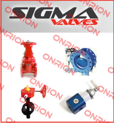 202880-001 / 20HM24-RK Sigma Valves