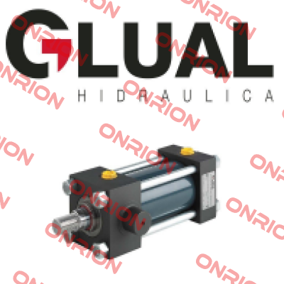 KI-25/12X200-Y303-1-AD-A-M-30 Glual Hydraulics