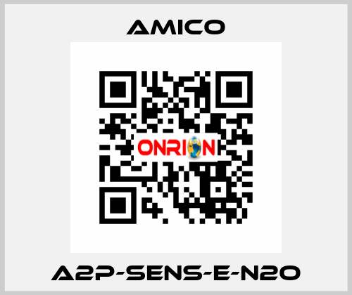 A2P-SENS-E-N2O AMICO