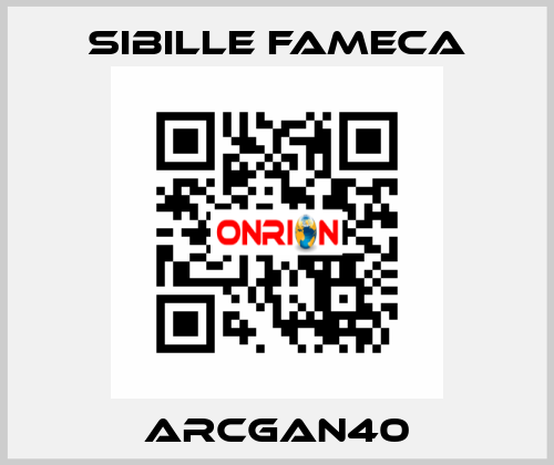 ARCGAN40 Sibille Fameca